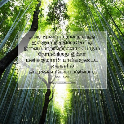 Picture 07 - மாற்கு 14:41 TAMIRV - அவர் மூன்றாம்முறை - Bible Verse Picture