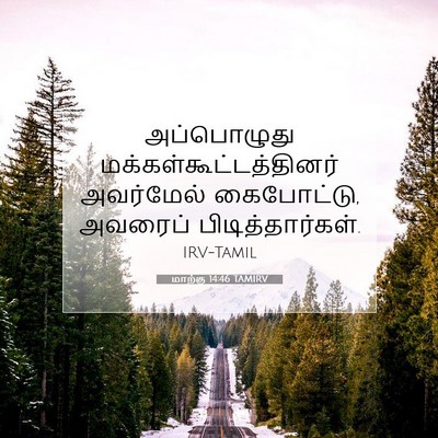 Picture 07 - மாற்கு 14:46 TAMIRV - அப்பொழுது - Bible Verse Picture