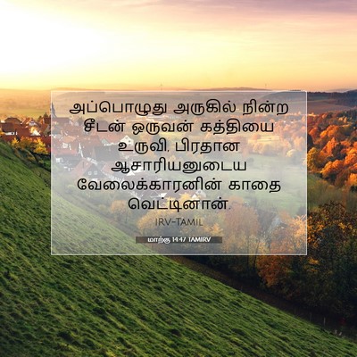 Picture 07 - மாற்கு 14:47 TAMIRV - அப்பொழுது அருகில் - Bible Verse Picture