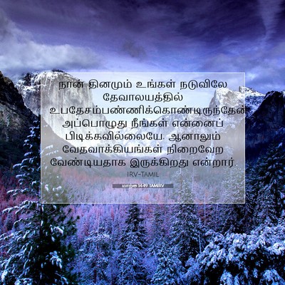 Picture 07 - மாற்கு 14:49 TAMIRV - நான் தினமும் - Bible Verse Picture