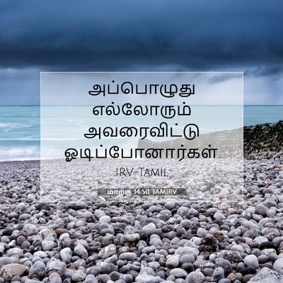 Picture 07 - மாற்கு 14:50 TAMIRV - அப்பொழுது - Bible Verse Picture