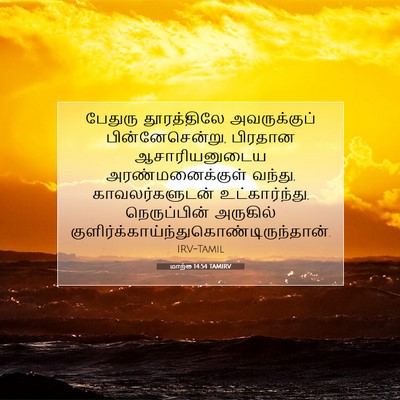Picture 07 - மாற்கு 14:54 TAMIRV - பேதுரு தூரத்திலே - Bible Verse Picture