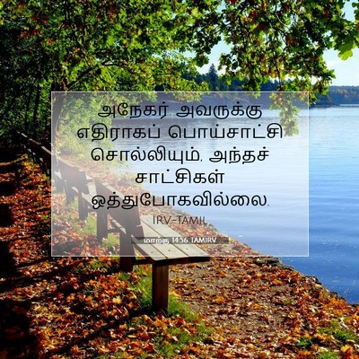 Picture 07 - மாற்கு 14:56 TAMIRV - அநேகர் அவருக்கு - Bible Verse Picture