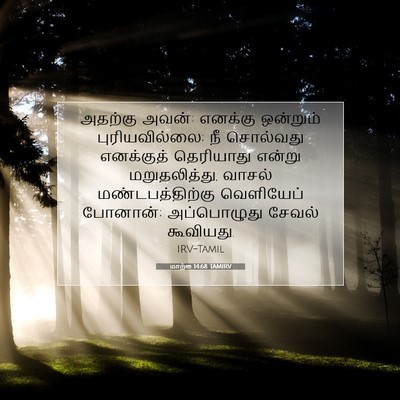 Picture 07 - மாற்கு 14:68 TAMIRV - அதற்கு அவன்: - Bible Verse Picture