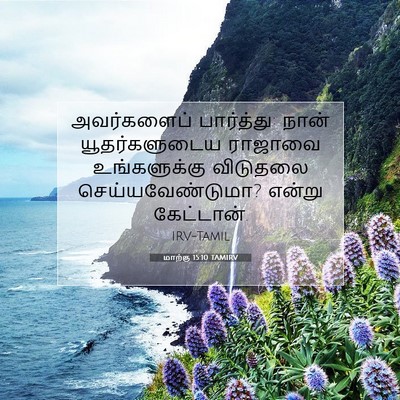 Picture 07 - மாற்கு 15:10 TAMIRV - அவர்களைப் - Bible Verse Picture