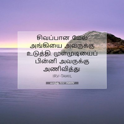 Picture 07 - மாற்கு 15:17 TAMIRV - சிவப்பான மேல் - Bible Verse Picture