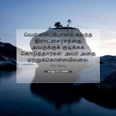 Picture 07 - மாற்கு 15:23 TAMIRV - வெள்ளைப்போளம் - Bible Verse Picture