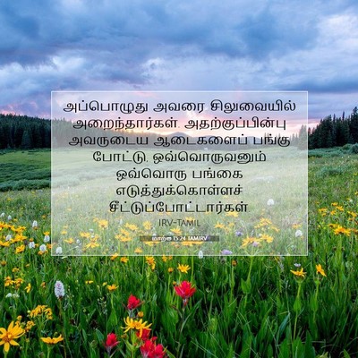 Picture 07 - மாற்கு 15:24 TAMIRV - அப்பொழுது அவரை - Bible Verse Picture