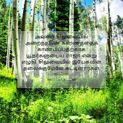 Picture 07 - மாற்கு 15:26 TAMIRV - அவரை சிலுவையில் - Bible Verse Picture