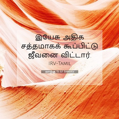Picture 07 - மாற்கு 15:37 TAMIRV - இயேசு அதிக - Bible Verse Picture