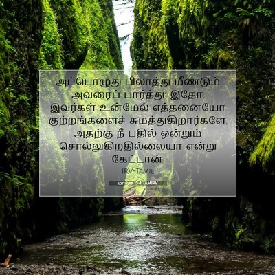 Picture 07 - மாற்கு 15:4 TAMIRV - அப்பொழுது - Bible Verse Picture