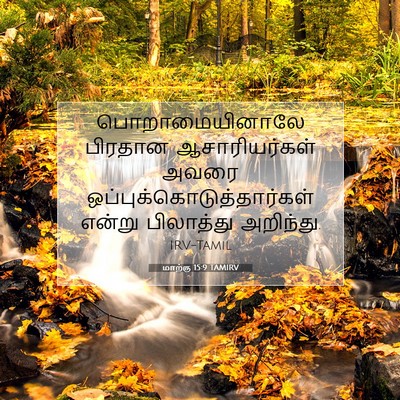 Picture 07 - மாற்கு 15:9 TAMIRV - பொறாமையினாலே - Bible Verse Picture