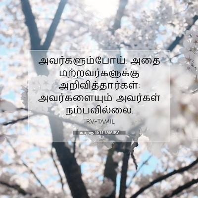Picture 07 - மாற்கு 16:13 TAMIRV - அவர்களும்போய், - Bible Verse Picture