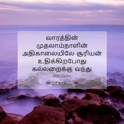 Picture 07 - மாற்கு 16:2 TAMIRV - வாரத்தின் - Bible Verse Picture