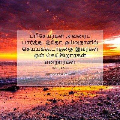 Picture 07 - மாற்கு 2:24 TAMIRV - பரிசேயர்கள் - Bible Verse Picture
