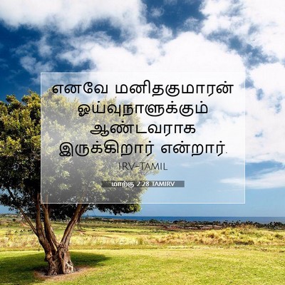Picture 07 - மாற்கு 2:28 TAMIRV - எனவே மனிதகுமாரன் - Bible Verse Picture