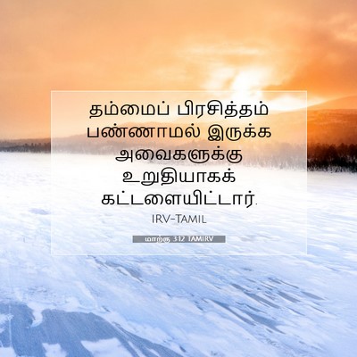 Picture 07 - மாற்கு 3:12 TAMIRV - தம்மைப் - Bible Verse Picture