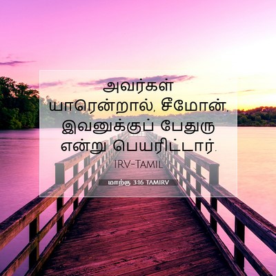 Picture 07 - மாற்கு 3:16 TAMIRV - அவர்கள் - Bible Verse Picture