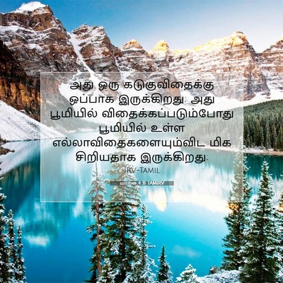 Picture 07 - மாற்கு 4:31 TAMIRV - அது ஒரு - Bible Verse Picture