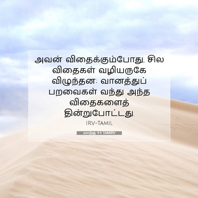 Picture 07 - மாற்கு 4:4 TAMIRV - அவன் - Bible Verse Picture