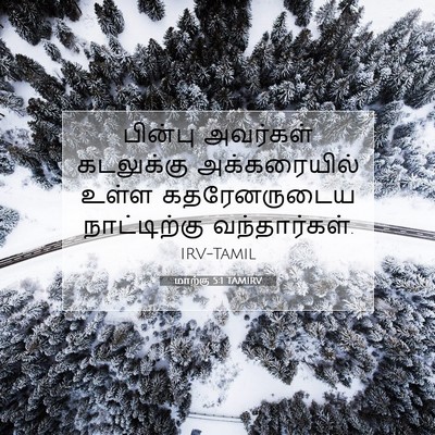 Picture 07 - மாற்கு 5:1 TAMIRV - பின்பு அவர்கள் - Bible Verse Picture