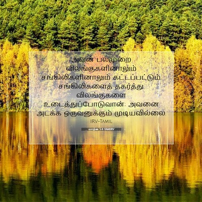 Picture 07 - மாற்கு 5:4 TAMIRV - அவன் பலமுறை - Bible Verse Picture