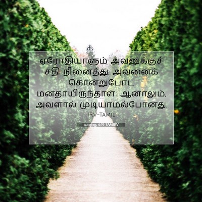 Picture 07 - மாற்கு 6:19 TAMIRV - ஏரோதியாளும் - Bible Verse Picture