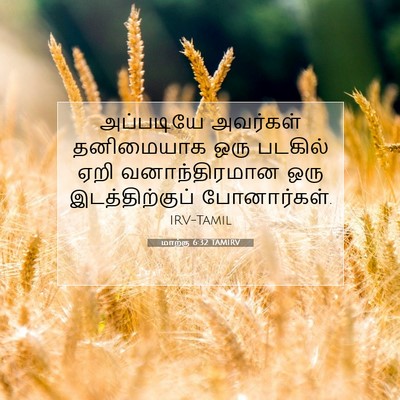 Picture 07 - மாற்கு 6:32 TAMIRV - அப்படியே அவர்கள் - Bible Verse Picture