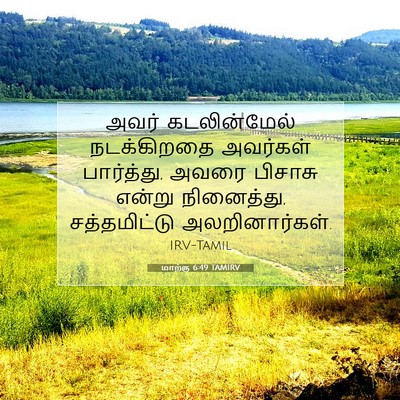 Picture 07 - மாற்கு 6:49 TAMIRV - அவர் கடலின்மேல் - Bible Verse Picture