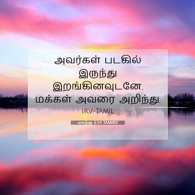 Picture 07 - மாற்கு 6:54 TAMIRV - அவர்கள் படகில் - Bible Verse Picture