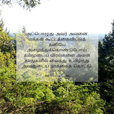 Picture 07 - மாற்கு 7:33 TAMIRV - அப்பொழுது, அவர் - Bible Verse Picture