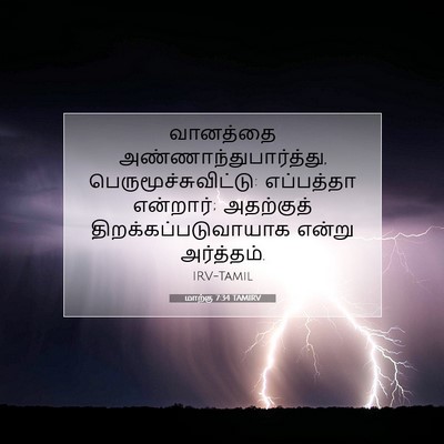 Picture 07 - மாற்கு 7:34 TAMIRV - வானத்தை - Bible Verse Picture