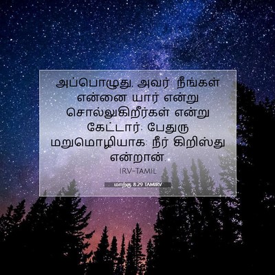 Picture 07 - மாற்கு 8:29 TAMIRV - அப்பொழுது, அவர்: - Bible Verse Picture