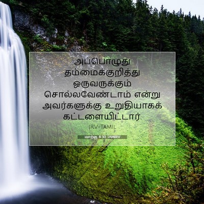 Picture 07 - மாற்கு 8:30 TAMIRV - அப்பொழுது - Bible Verse Picture