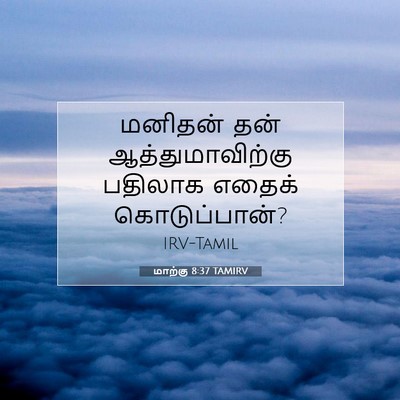 Picture 07 - மாற்கு 8:37 TAMIRV - மனிதன் தன் - Bible Verse Picture