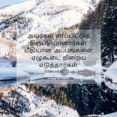 Picture 07 - மாற்கு 8:8 TAMIRV - அவர்கள் - Bible Verse Picture