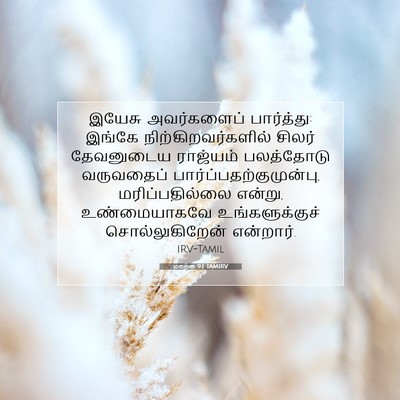 Picture 07 - மாற்கு 9:1 TAMIRV - இயேசு அவர்களைப் - Bible Verse Picture