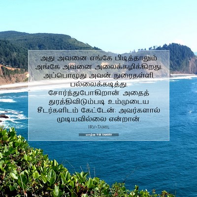 Picture 07 - மாற்கு 9:18 TAMIRV - அது அவனை எங்கே - Bible Verse Picture