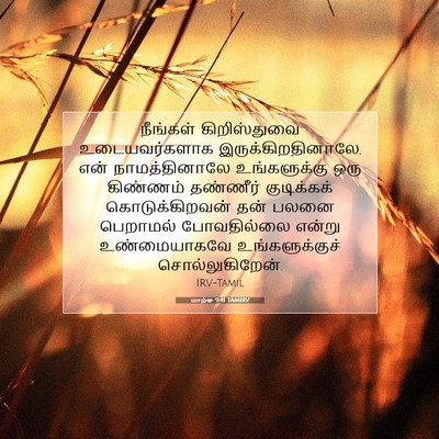 Picture 07 - மாற்கு 9:41 TAMIRV - நீங்கள் - Bible Verse Picture