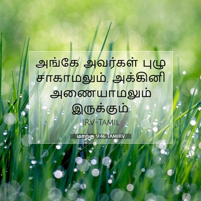 Picture 07 - மாற்கு 9:46 TAMIRV - அங்கே அவர்கள் - Bible Verse Picture