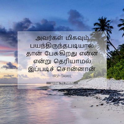 Picture 07 - மாற்கு 9:6 TAMIRV - அவர்கள் மிகவும் - Bible Verse Picture