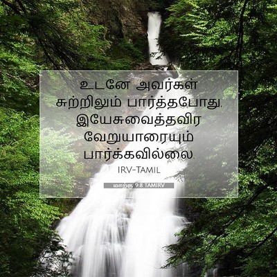 Picture 07 - மாற்கு 9:8 TAMIRV - உடனே அவர்கள் - Bible Verse Picture