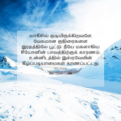 Picture 07 - மீகா 1:13 TAMIRV - லாகீசில் - Bible Verse Picture