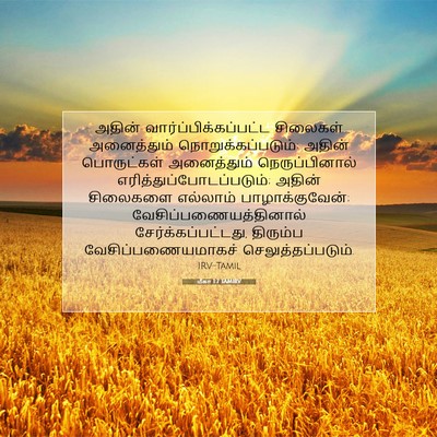Picture 07 - மீகா 1:7 TAMIRV - அதின் - Bible Verse Picture