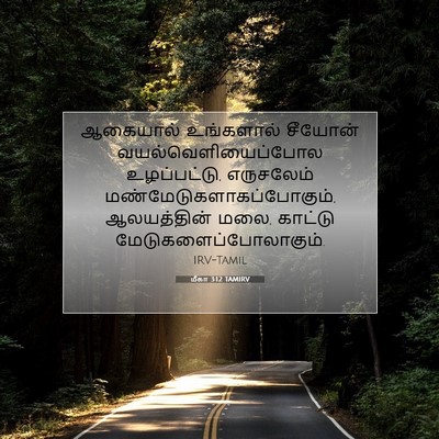 Picture 07 - மீகா 3:12 TAMIRV - ஆகையால் உங்களால் - Bible Verse Picture