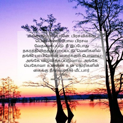 Picture 07 - மீகா 4:10 TAMIRV - மகளாகிய சீயோனே, - Bible Verse Picture