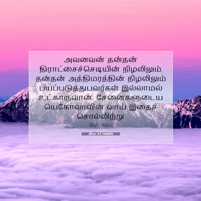 Picture 07 - மீகா 4:4 TAMIRV - அவனவன் தன்தன் - Bible Verse Picture