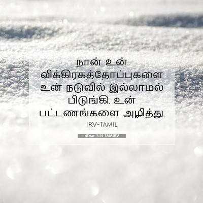 Picture 07 - மீகா 5:14 TAMIRV - நான் உன் - Bible Verse Picture
