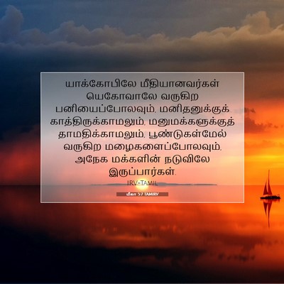 Picture 07 - மீகா 5:7 TAMIRV - யாக்கோபிலே - Bible Verse Picture