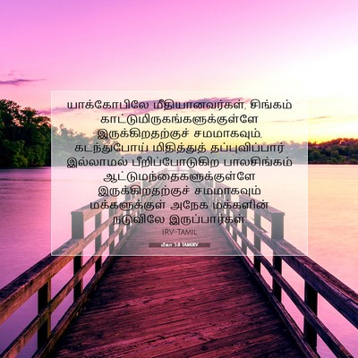 Picture 07 - மீகா 5:8 TAMIRV - யாக்கோபிலே - Bible Verse Picture